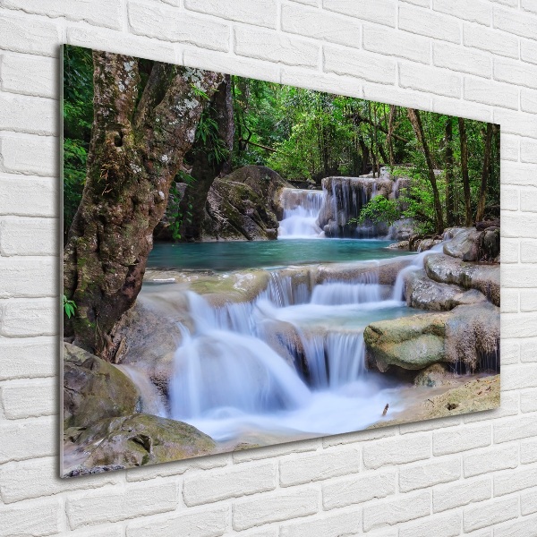 Wall art on glass Cascade in the forest