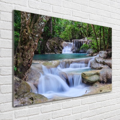 Wall art on glass Cascade in the forest