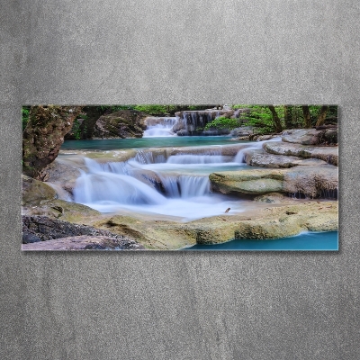 Wall art on glass Cascade in the forest