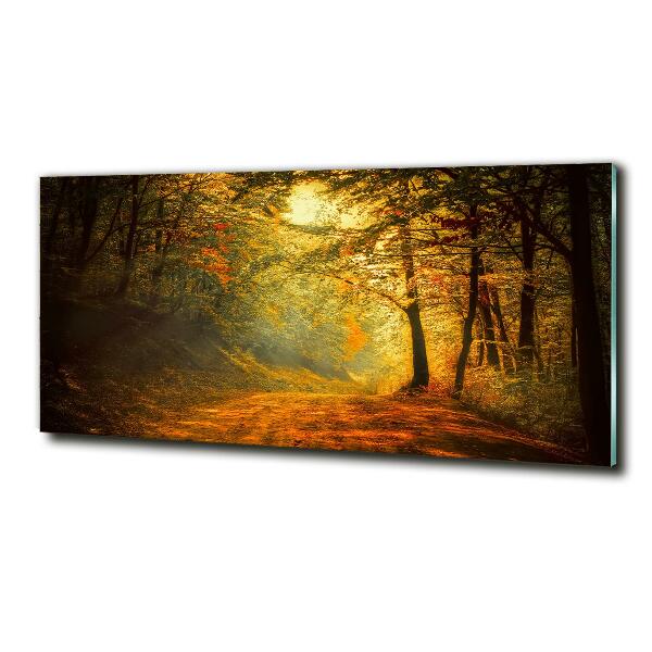 Glass art print Forest in autumn