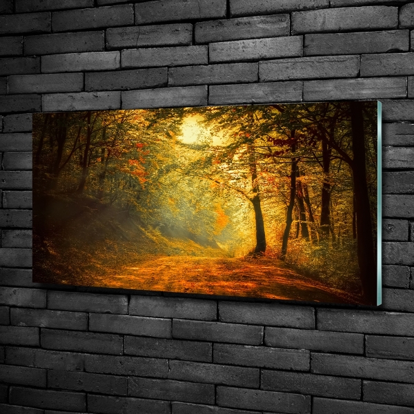 Glass art print Forest in autumn