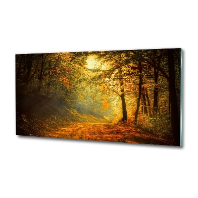 Glass art print Forest in autumn