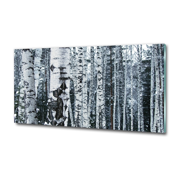 Glass picture print Birch trees