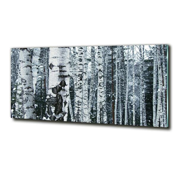 Glass picture print Birch trees