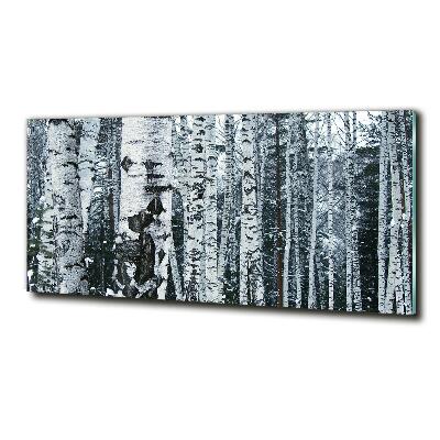 Glass picture print Birch trees