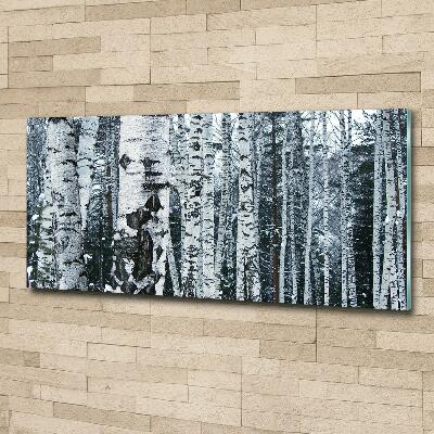 Glass picture print Birch trees