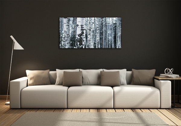 Glass picture print Birch trees