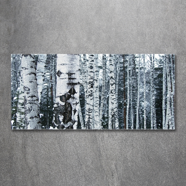 Glass picture print Birch trees