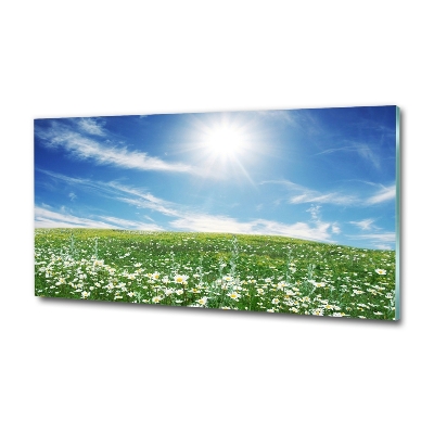 Wall art on glass Meadow