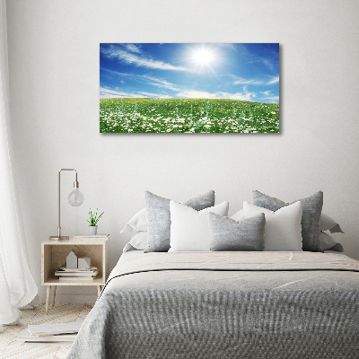 Wall art on glass Meadow