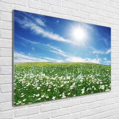 Wall art on glass Meadow