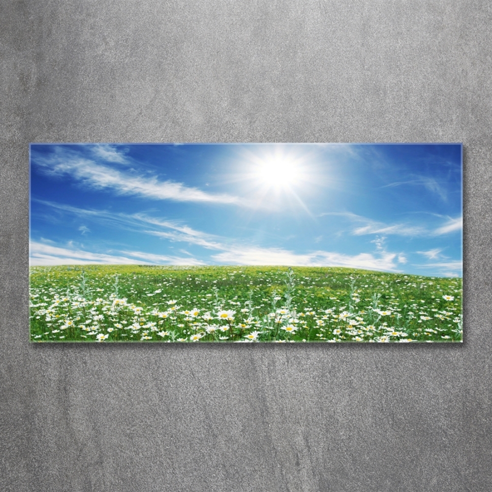 Wall art on glass Meadow