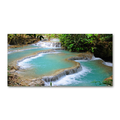 Wall art on glass Waterfall in the forest