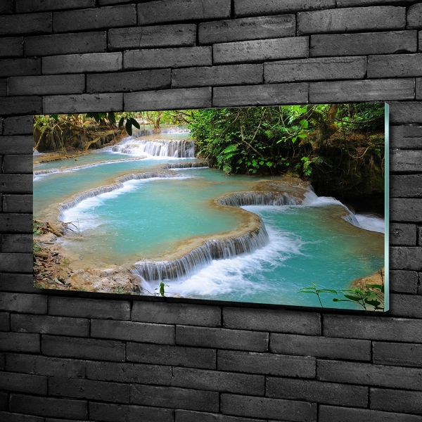 Wall art on glass Waterfall in the forest