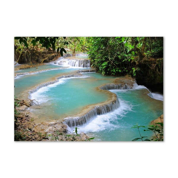 Wall art on glass Waterfall in the forest