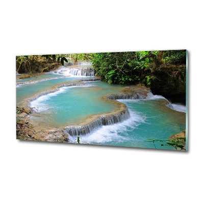 Wall art on glass Waterfall in the forest