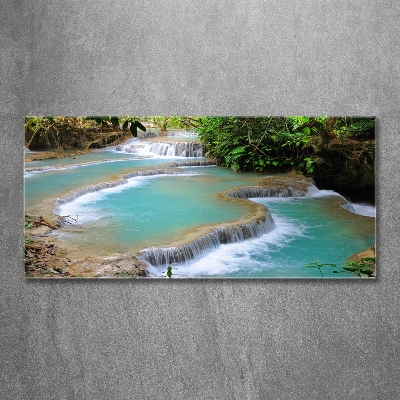 Wall art on glass Waterfall in the forest