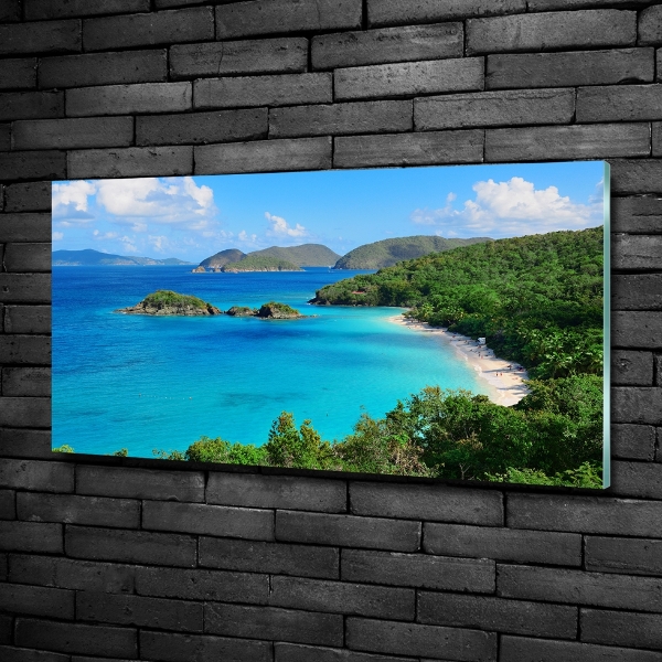 Glass art print Virgin islands