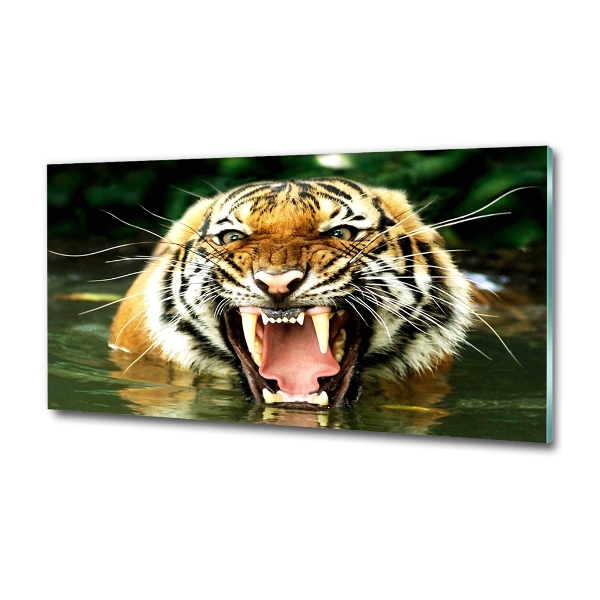 Glass picture wall art Roaring tiger