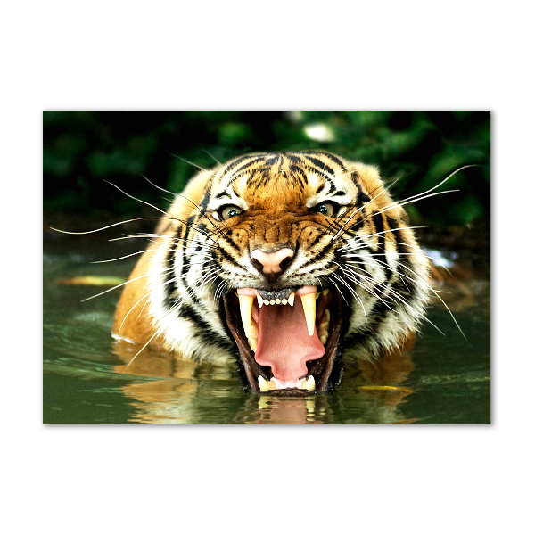 Glass picture wall art Roaring tiger