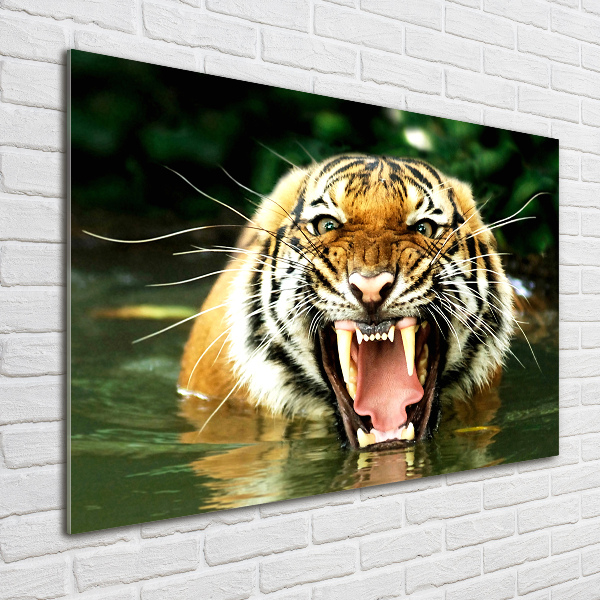 Glass picture wall art Roaring tiger