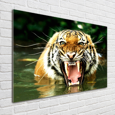 Glass picture wall art Roaring tiger