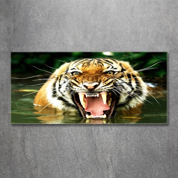 Glass picture wall art Roaring tiger