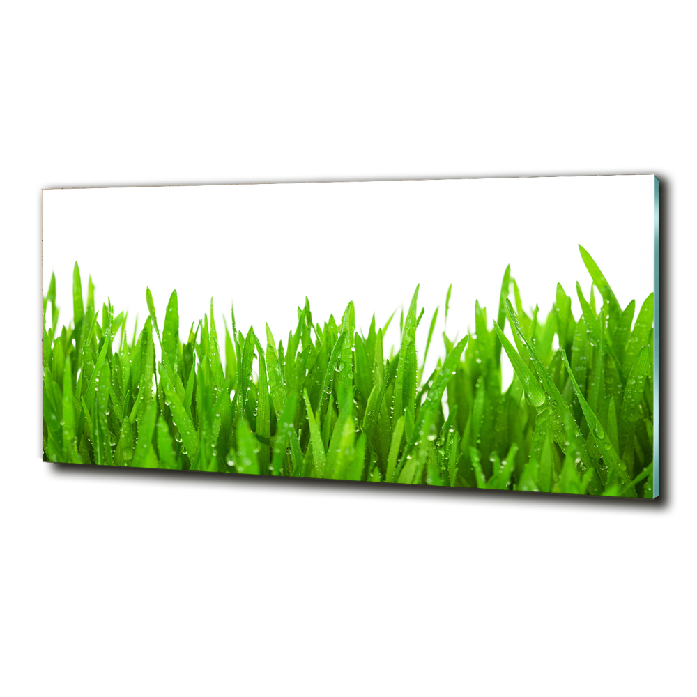 Wall art on glass Grass