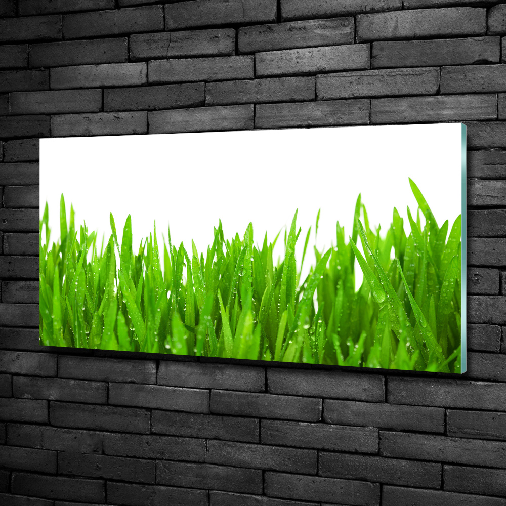 Wall art on glass Grass