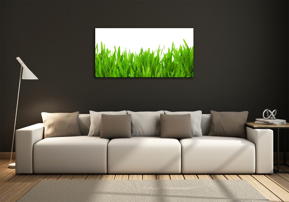 Wall art on glass Grass