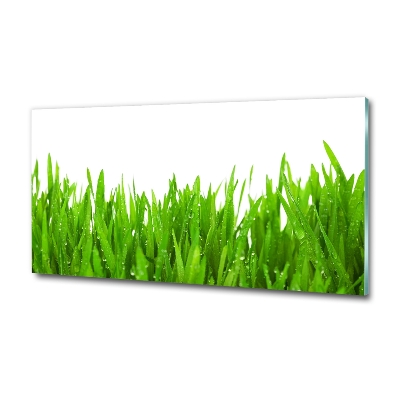 Wall art on glass Grass