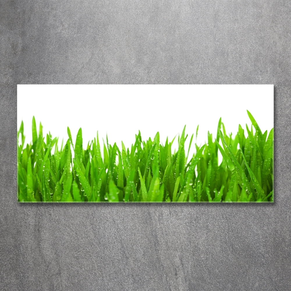 Wall art on glass Grass