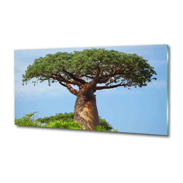 Glass wall art Baobab