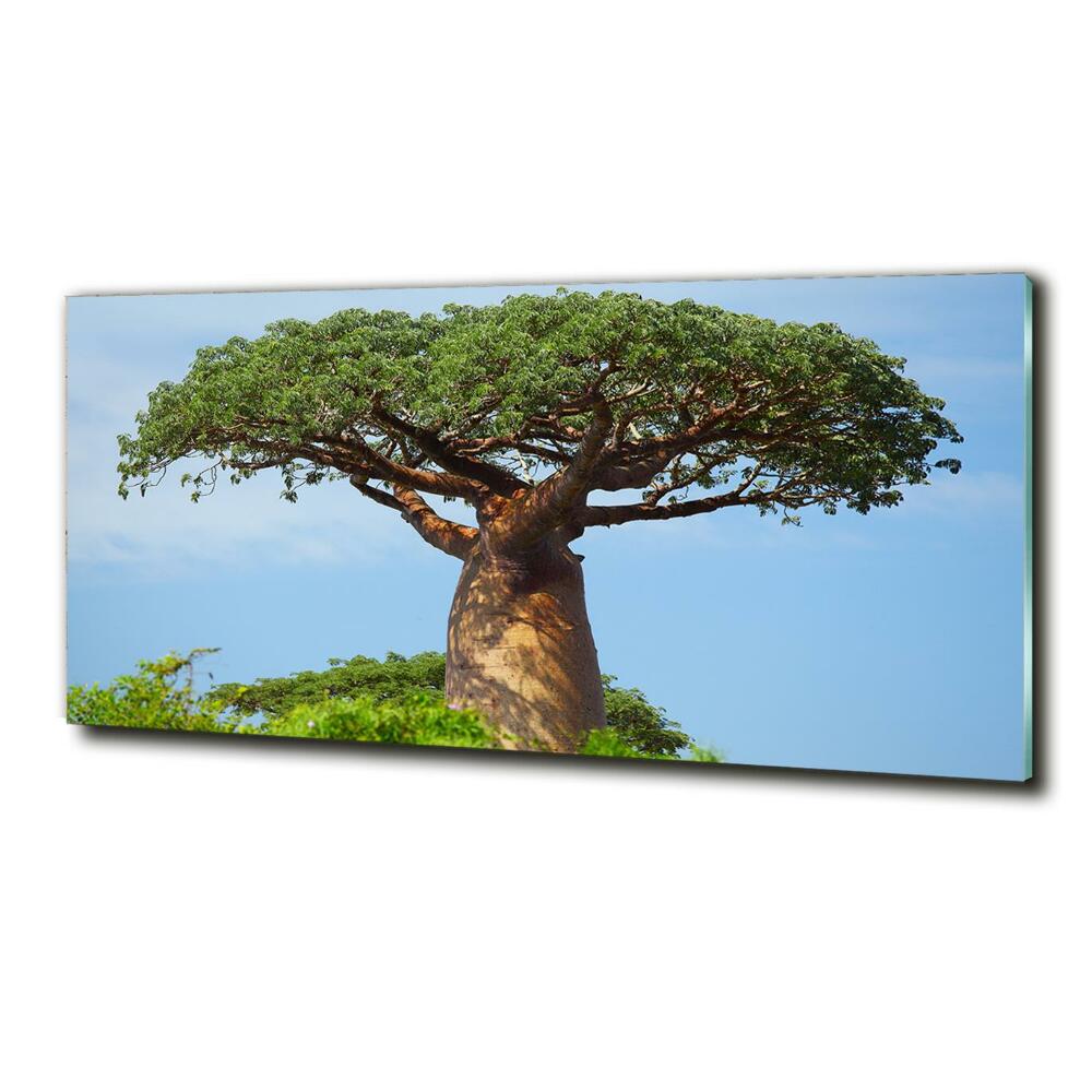 Glass wall art Baobab