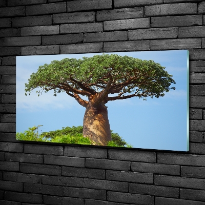 Glass wall art Baobab