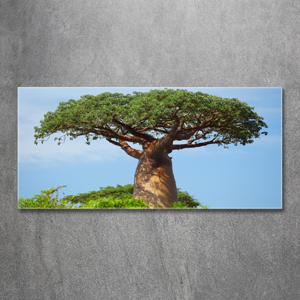 Glass wall art Baobab