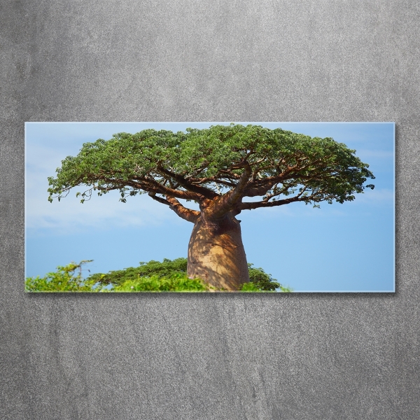 Glass wall art Baobab