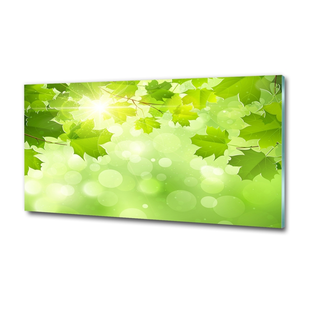 Wall art on glass Chestnut leaves