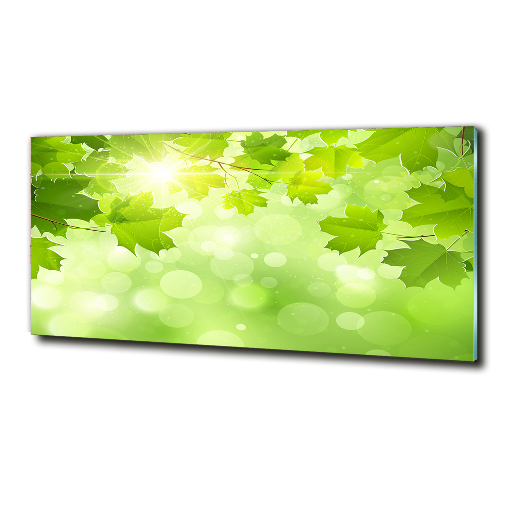 Wall art on glass Chestnut leaves