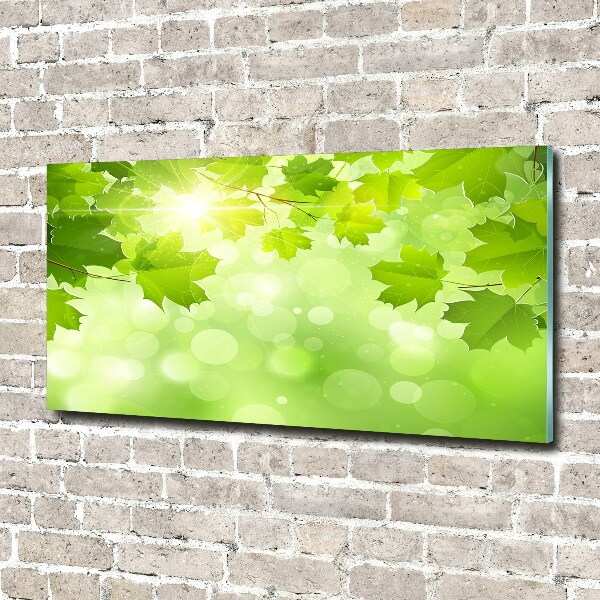 Wall art on glass Chestnut leaves