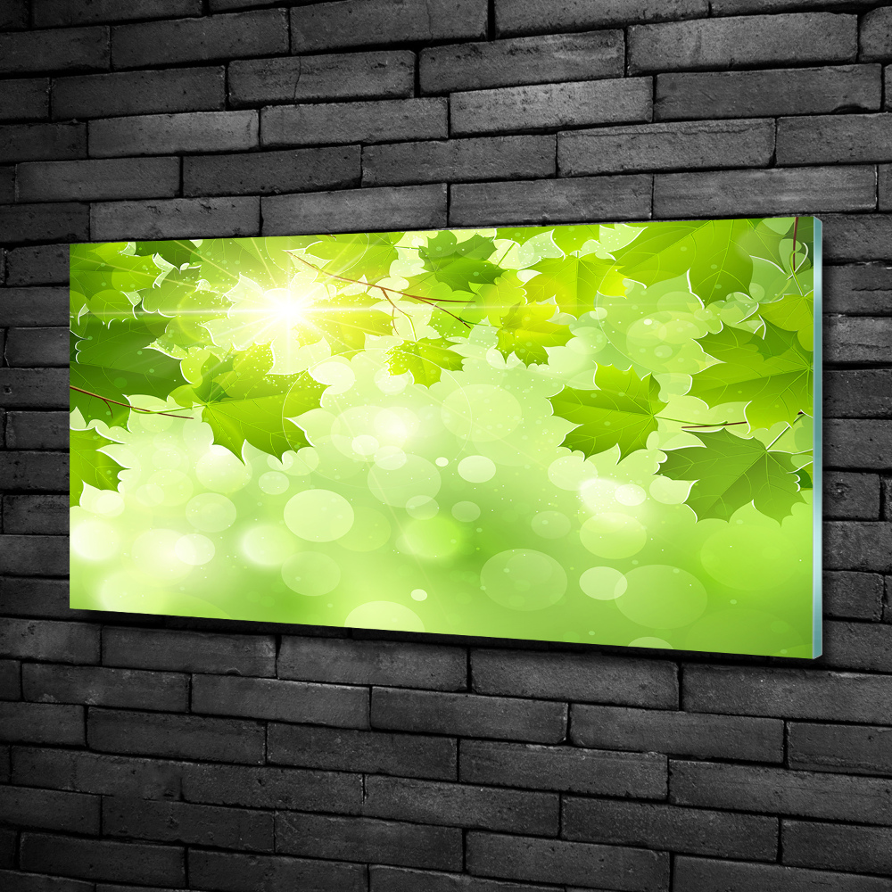 Wall art on glass Chestnut leaves