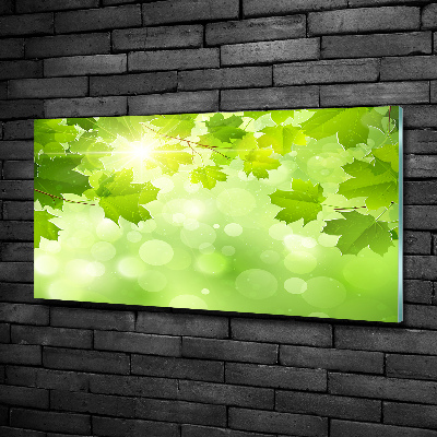 Wall art on glass Chestnut leaves