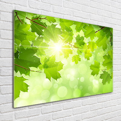 Wall art on glass Chestnut leaves