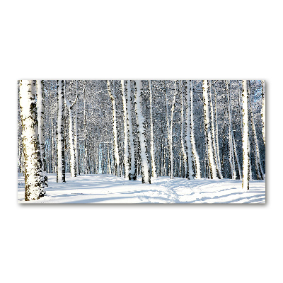 Glass wall art Forest in winter