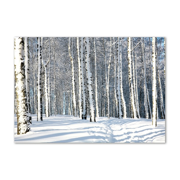 Glass wall art Forest in winter