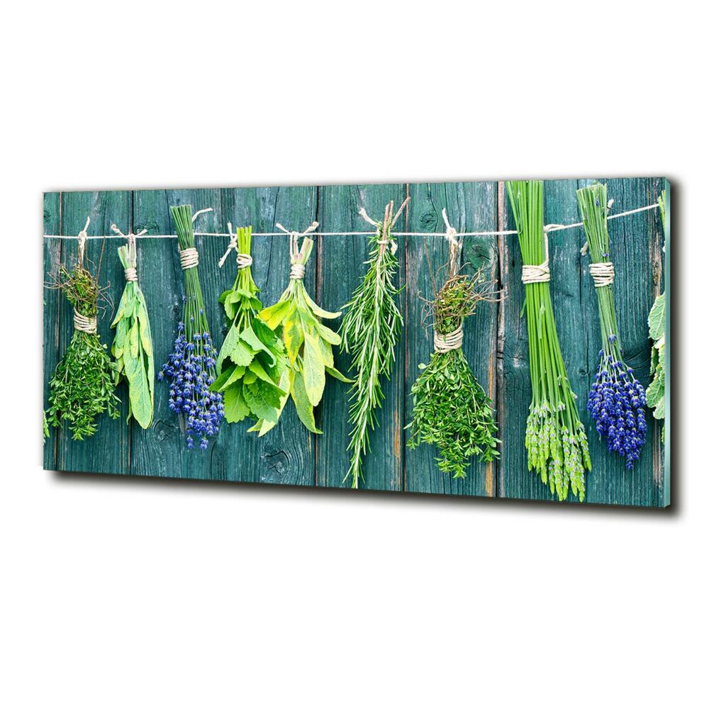 Glass wall art large Herbs on a string