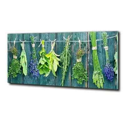 Glass wall art large Herbs on a string