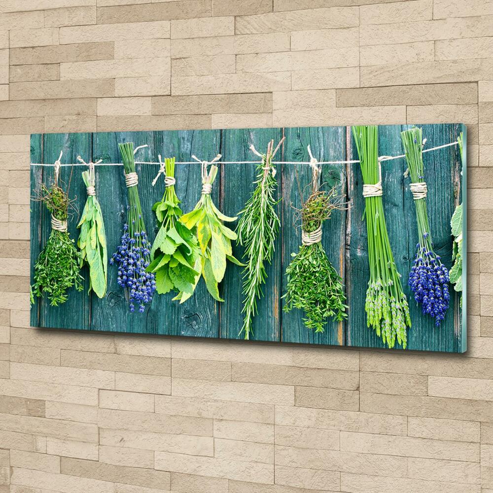 Glass wall art large Herbs on a string