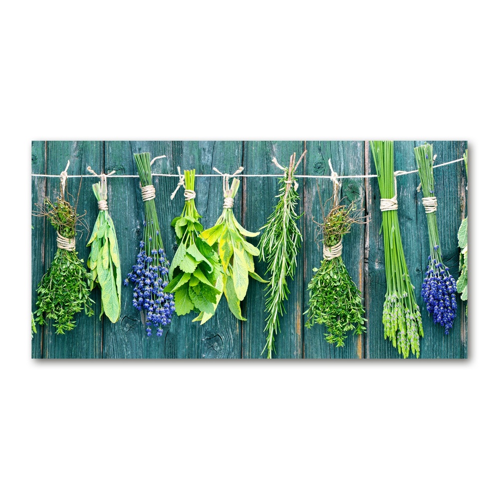 Glass wall art large Herbs on a string