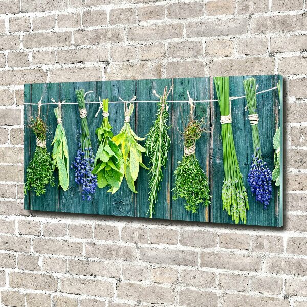 Glass wall art large Herbs on a string